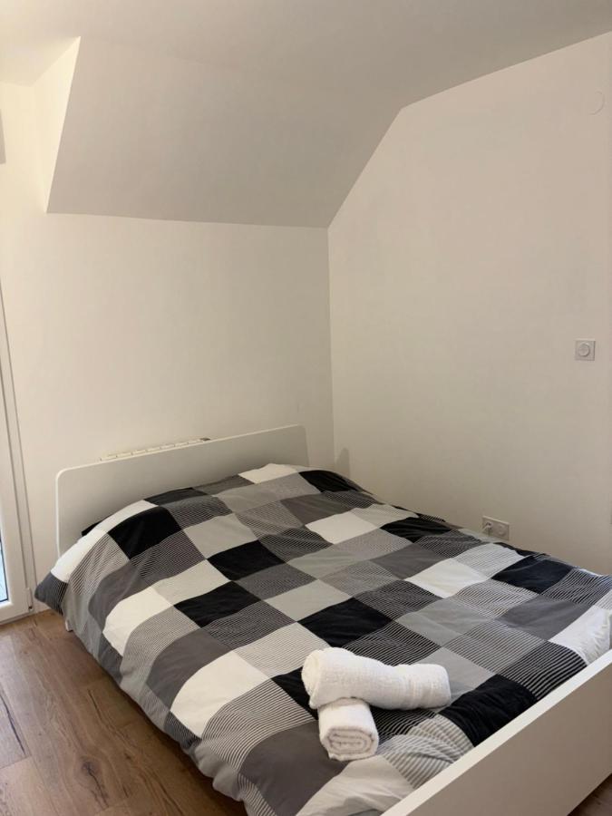 Duplex Neuf Parking Terrasse Appartamento Mulhouse Esterno foto
